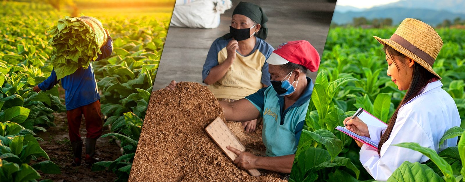 asset gudang baru berkah
