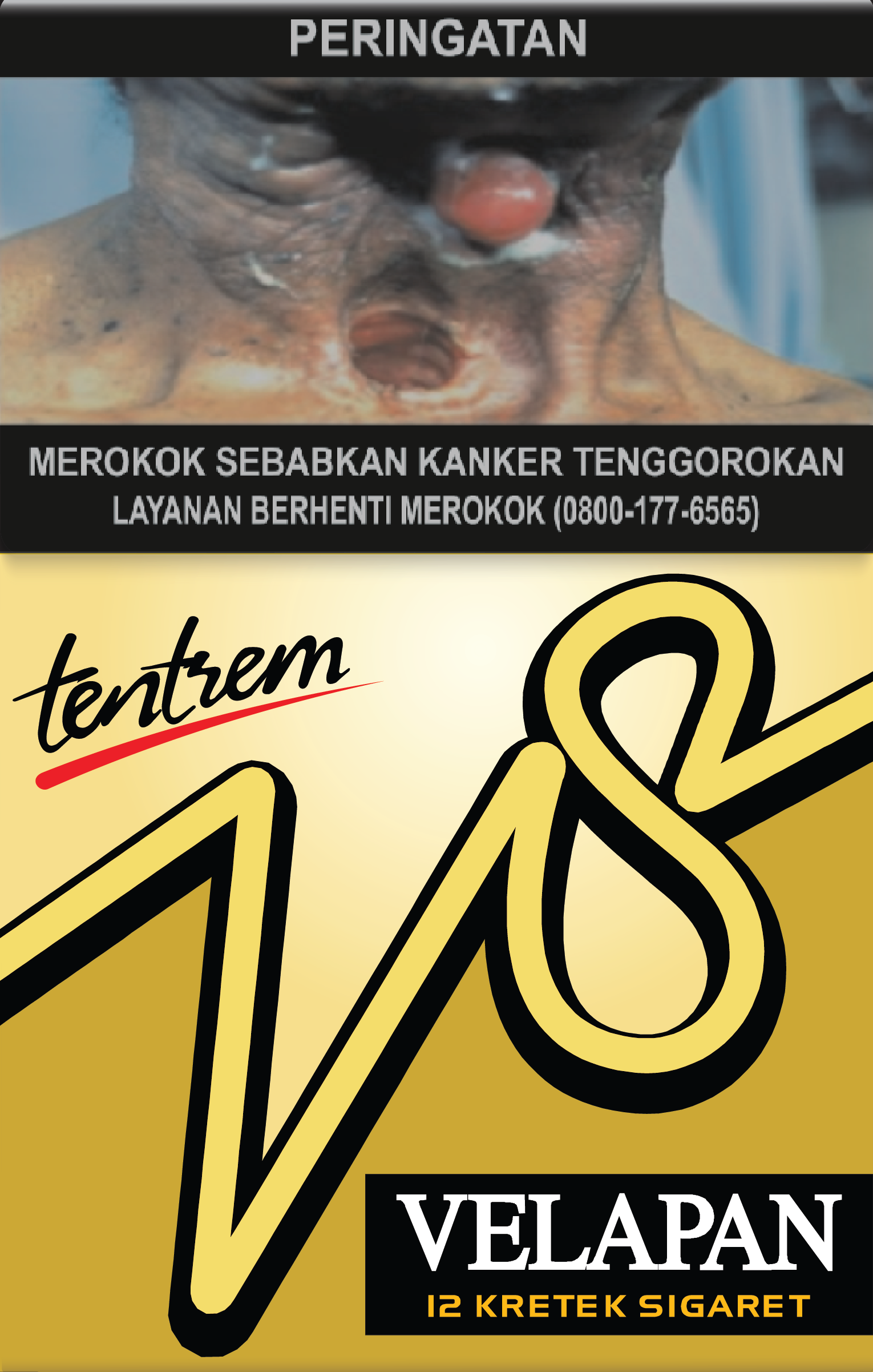 V8 TENTREM